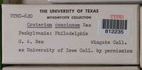 Image Associated With the Occurence